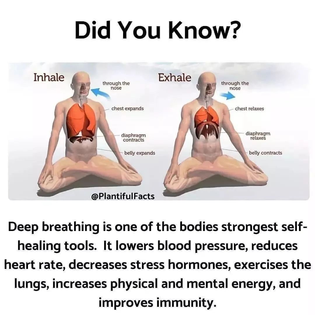 E the health benefits of deep breathing – Artofit
