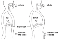 What Are The Benefits Of Deep Breathing Unleash Your Potential