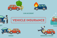What Should I Know About Vehicle Insurance Options