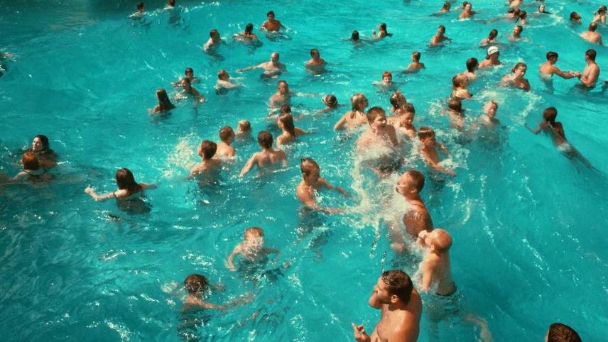 What Are The Most Popular Documentaries Streaming Now