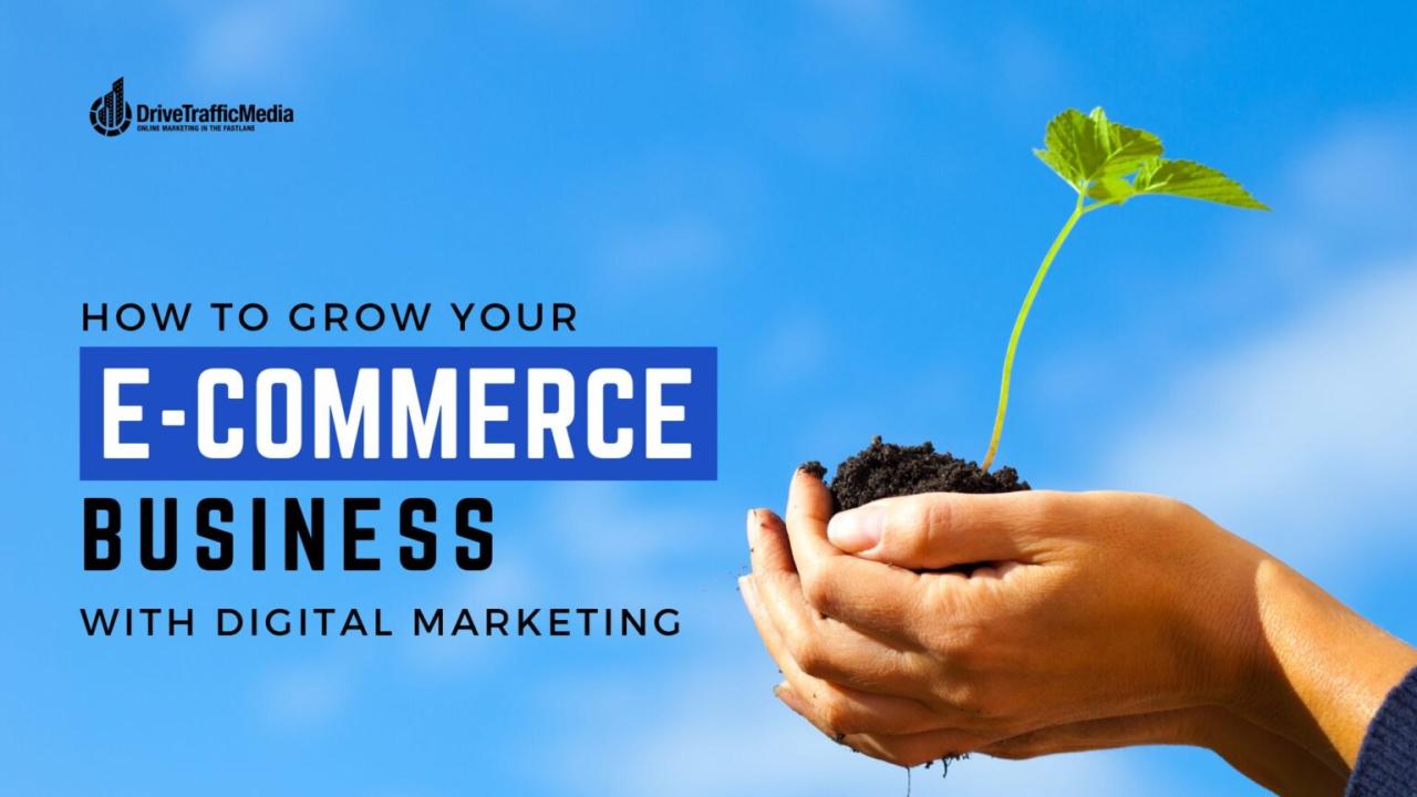 How To Effectively Market An E-Commerce Business Online